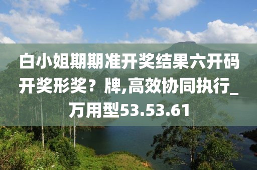 白小姐期期准开奖结果六开码开奖形奖？牌,高效协同执行_万用型53.53.61