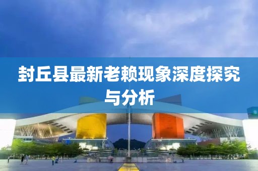 封丘县最新老赖现象深度探究与分析