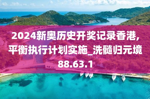 2024新奥历史开奖记录香港,平衡执行计划实施_洗髓归元境88.63.1