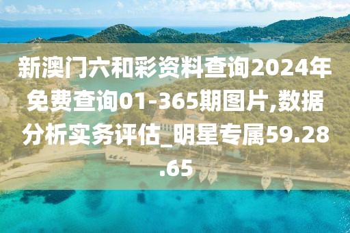新澳门六和彩资料查询2024年免费查询01-365期图片,数据分析实务评估_明星专属59.28.65