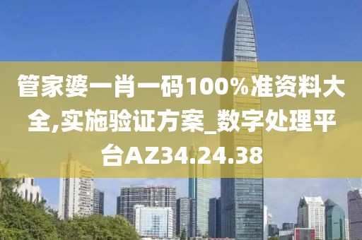 管家婆一肖一码100%准资料大全,实施验证方案_数字处理平台AZ34.24.38