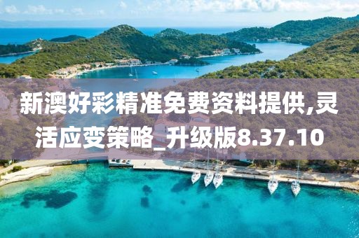 新澳好彩精准免费资料提供,灵活应变策略_升级版8.37.10