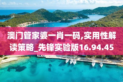 澳门管家婆一肖一码,实用性解读策略_先锋实验版16.94.45