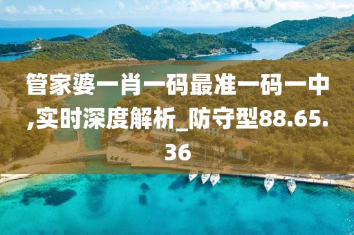 管家婆一肖一码最准一码一中,实时深度解析_防守型88.65.36