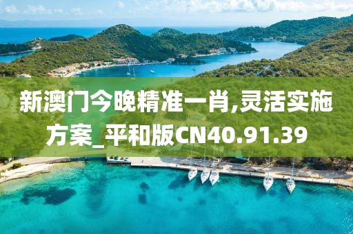 新澳门今晚精准一肖,灵活实施方案_平和版CN40.91.39