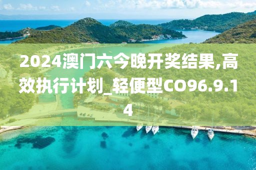 2024澳门六今晚开奖结果,高效执行计划_轻便型CO96.9.14