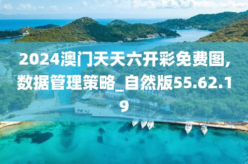 2024澳门天天六开彩免费图,数据管理策略_自然版55.62.19
