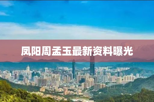 凤阳周孟玉最新资料曝光