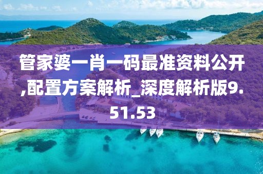 管家婆一肖一码最准资料公开,配置方案解析_深度解析版9.51.53