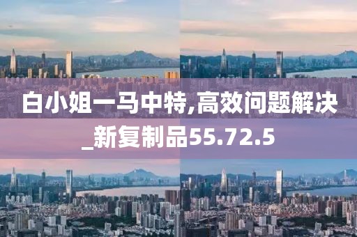 白小姐一马中特,高效问题解决_新复制品55.72.5