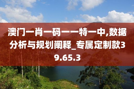 澳门一肖一码一一特一中,数据分析与规划阐释_专属定制款39.65.3