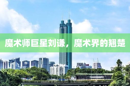 魔术师巨星刘谦，魔术界的翘楚