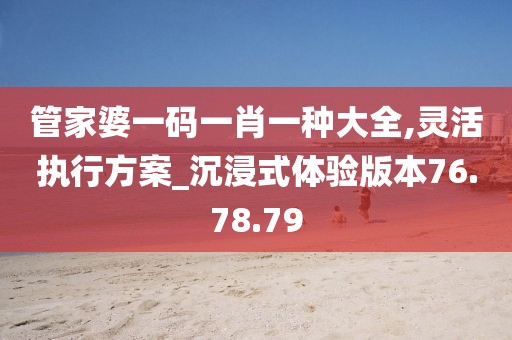 管家婆一码一肖一种大全,灵活执行方案_沉浸式体验版本76.78.79