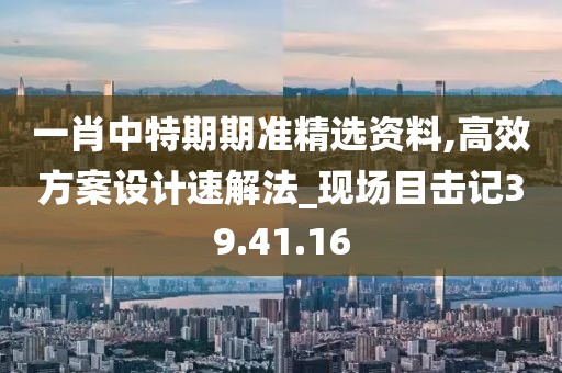 一肖中特期期准精选资料,高效方案设计速解法_现场目击记39.41.16