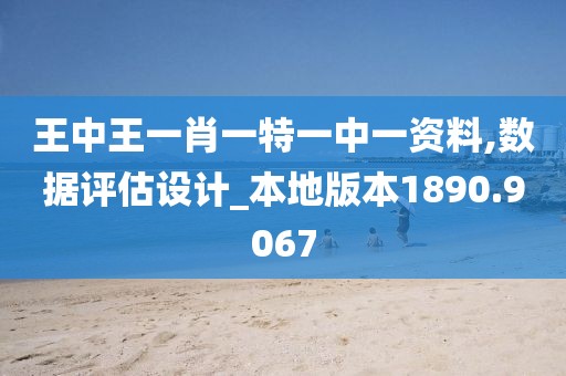 王中王一肖一特一中一资料,数据评估设计_本地版本1890.9067