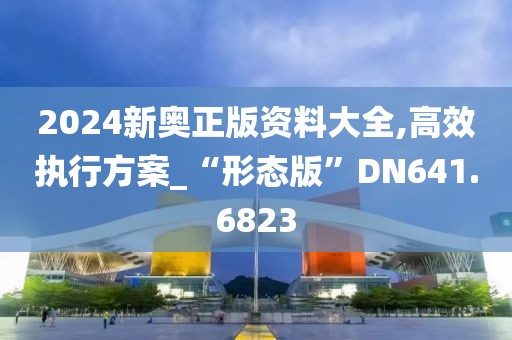 2024新奥正版资料大全,高效执行方案_“形态版”DN641.6823