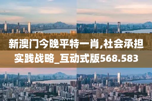 新澳门今晚平特一肖,社会承担实践战略_互动式版568.583