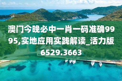澳门今晚必中一肖一码准确9995,实地应用实践解读_活力版6529.3663