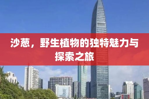 沙葱，野生植物的独特魅力与探索之旅