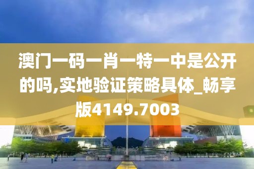 澳门一码一肖一特一中是公开的吗,实地验证策略具体_畅享版4149.7003