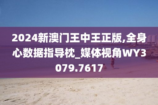2024新澳门王中王正版,全身心数据指导枕_媒体视角WY3079.7617