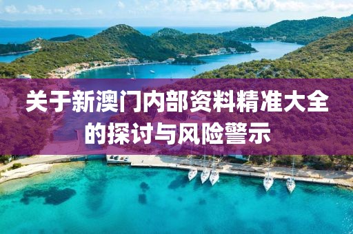关于新澳门内部资料精准大全的探讨与风险警示