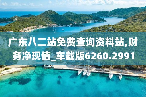 广东八二站免费查询资料站,财务净现值_车载版6260.2991