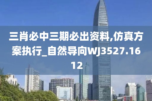 三肖必中三期必出资料,仿真方案执行_自然导向WJ3527.1612