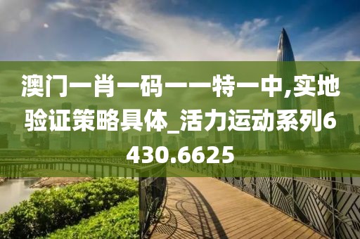 澳门一肖一码一一特一中,实地验证策略具体_活力运动系列6430.6625