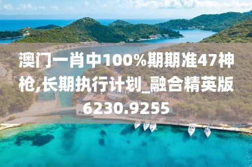 澳门一肖中100%期期准47神枪,长期执行计划_融合精英版6230.9255