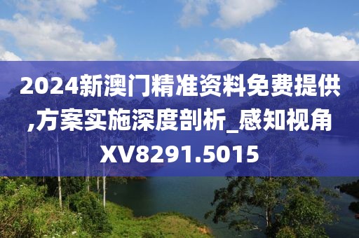 2024新澳门精准资料免费提供,方案实施深度剖析_感知视角XV8291.5015