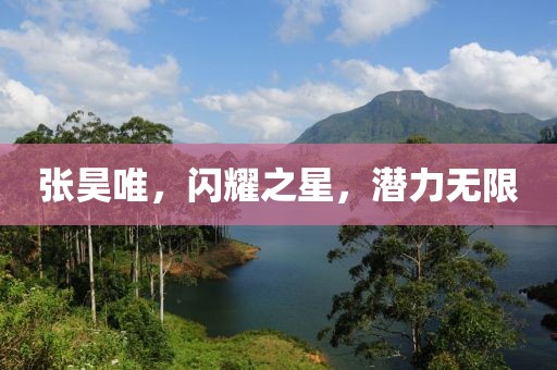 张昊唯，闪耀之星，潜力无限