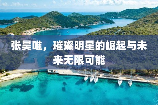 张昊唯，璀璨明星的崛起与未来无限可能