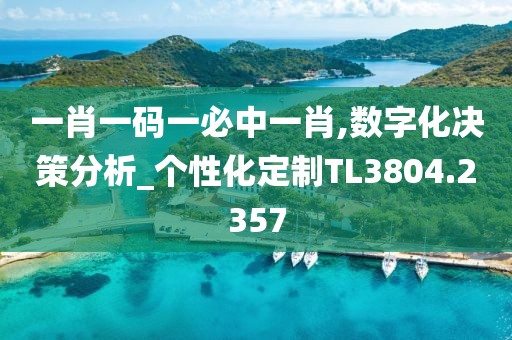 一肖一码一必中一肖,数字化决策分析_个性化定制TL3804.2357
