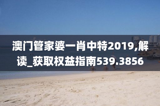 澳门管家婆一肖中特2019,解读_获取权益指南539.3856