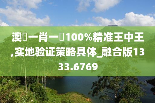 澳門一肖一碼100%精准王中王,实地验证策略具体_融合版1333.6769
