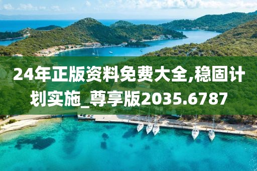 24年正版资料免费大全,稳固计划实施_尊享版2035.6787