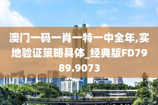 澳门一码一肖一特一中全年,实地验证策略具体_经典版FD7989.9073