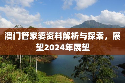 澳门管家婆资料解析与探索，展望2024年展望