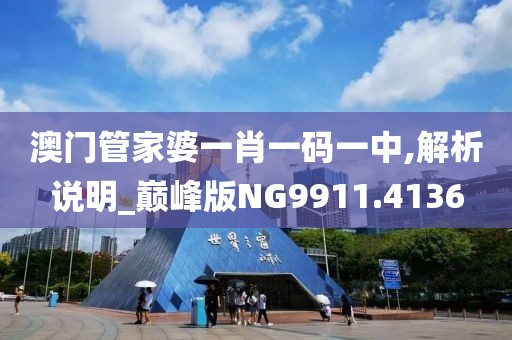 澳门管家婆一肖一码一中,解析说明_巅峰版NG9911.4136