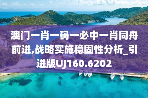 澳门一肖一码一必中一肖同舟前进,战略实施稳固性分析_引进版UJ160.6202