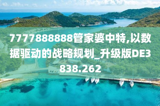 7777888888管家婆中特,以数据驱动的战略规划_升级版DE3838.262