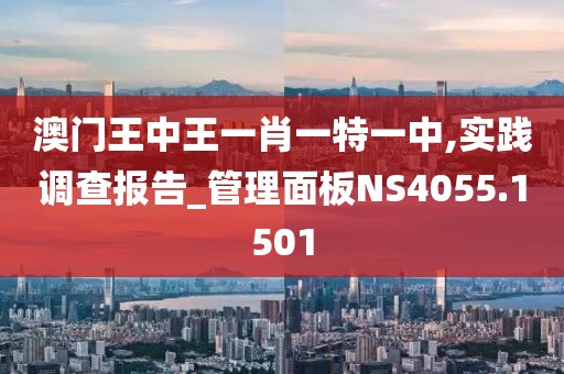 澳门王中王一肖一特一中,实践调查报告_管理面板NS4055.1501