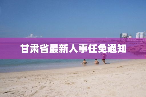 甘肃省最新人事任免通知