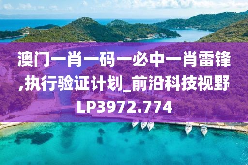 澳门一肖一码一必中一肖雷锋,执行验证计划_前沿科技视野LP3972.774
