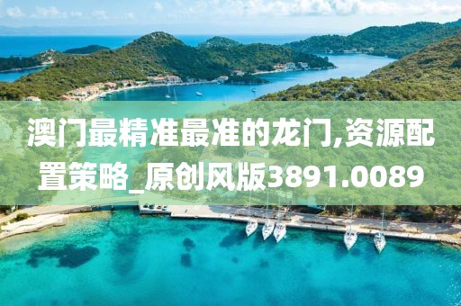 澳门最精准最准的龙门,资源配置策略_原创风版3891.0089
