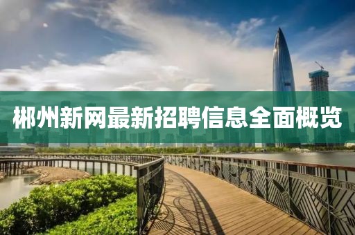郴州新网最新招聘信息全面概览