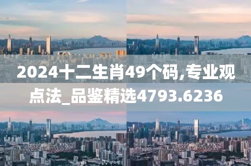 2024十二生肖49个码,专业观点法_品鉴精选4793.6236