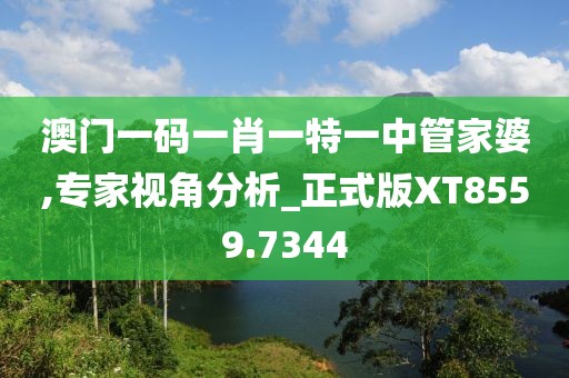 澳门一码一肖一特一中管家婆,专家视角分析_正式版XT8559.7344
