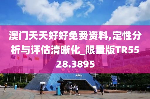澳门天天好好免费资料,定性分析与评估清晰化_限量版TR5528.3895